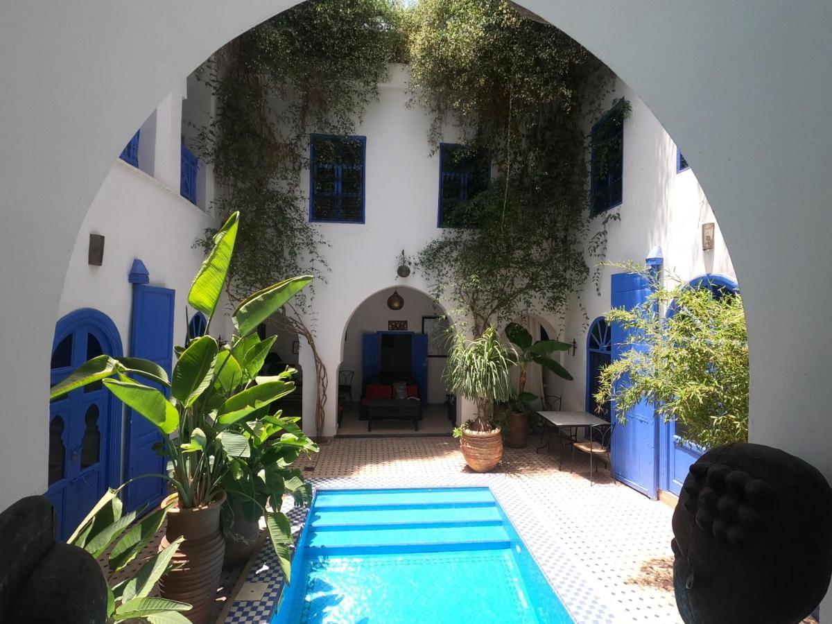 Riad Chameleon