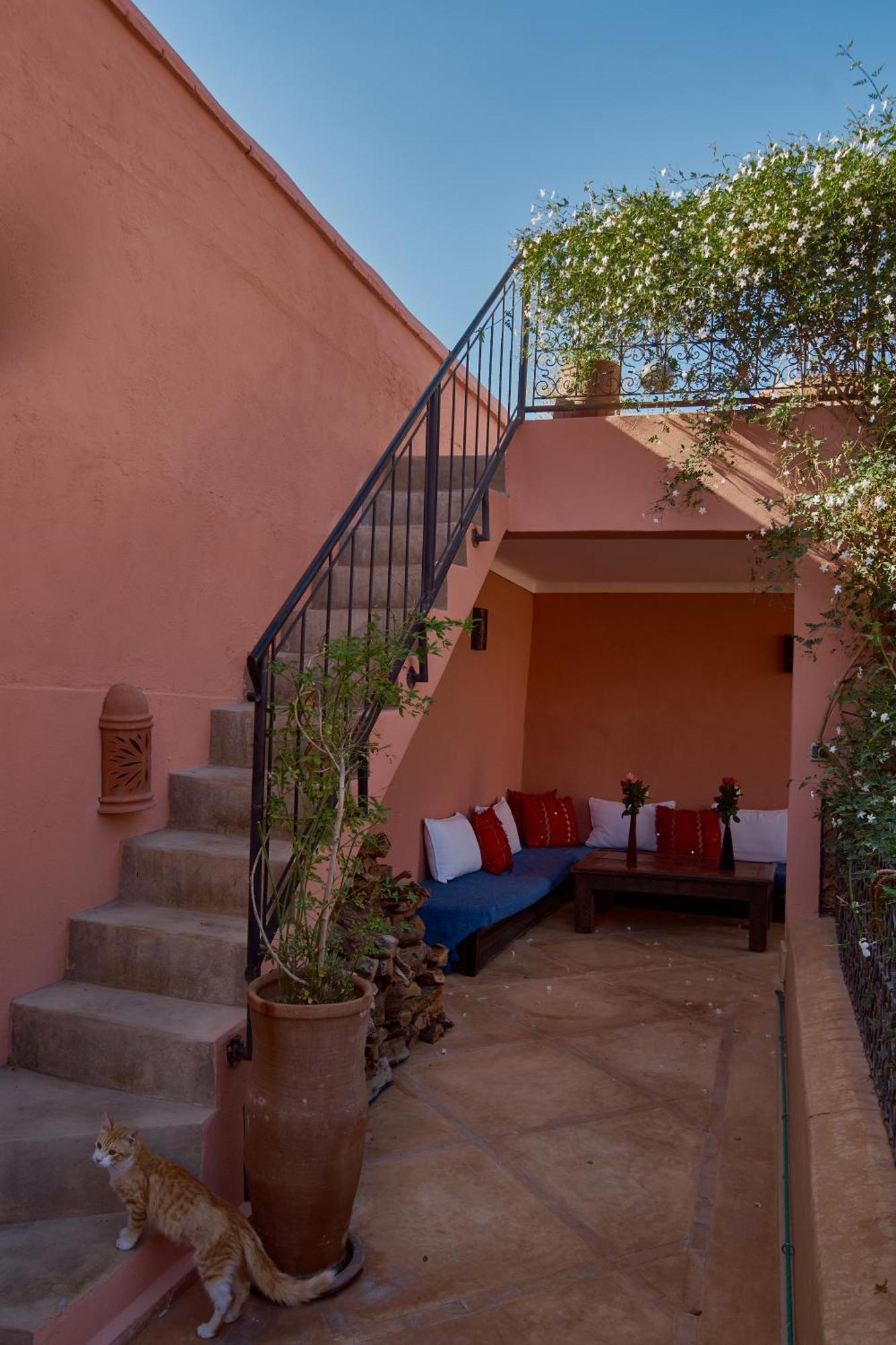 Chameleon Riad