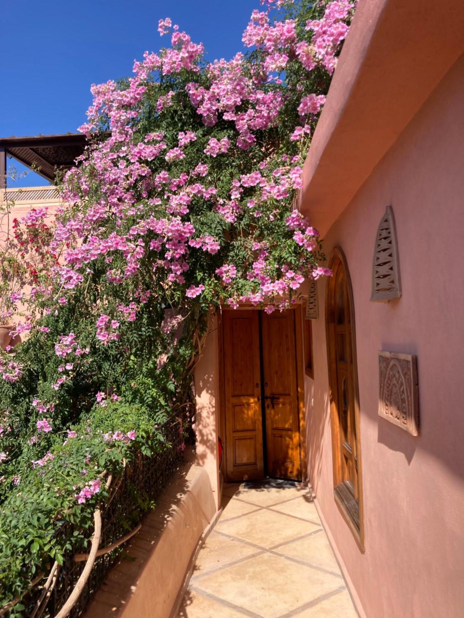 Chameleon Riad Marrakesh